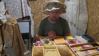 Как я вывожу  пчелиных маток на моей пасеке))