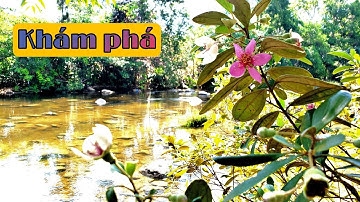 Thác Krông Bông tập 2 | câu cá suối