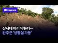 산사태 미리 막는다…완주군 '상황실 가동' [전북]