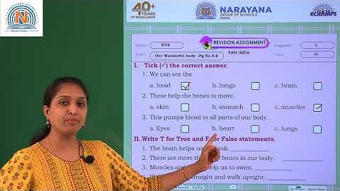 7TH AUG TS CLASS II EVS ASSIGNMENT KEY