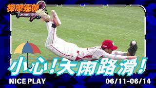 【2026棒球週報】NicePlay - 本週雖然場次不多但也不少NICE PLAY!就算有天氣場地因素小白球都接進手套!#niceplay #中華職棒