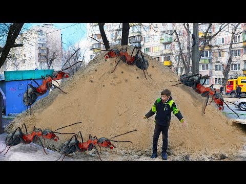 Видео: Кто ПОСЕЛИЛСЯ у Нас ДОМА? Кто ТЕПЕРЬ Главный ?