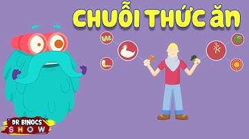 Chuỗi thức ăn và lưới thức ăn | Hoạt Hình Khoa Học Vui 2021 | Phim tài liệu khoa học kiến thức