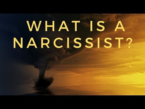 What is a narcissist?