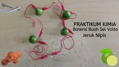 Praktikum Sederhana Sel Volta (Membuat Baterai Buah dari Jeruk Nipis)