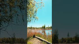🏞️ Calming Landscape Views - Drone Nature for Stress Relief 🌄