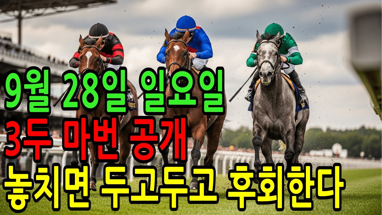 9월 28일 일요일 경마~ “승부수 던질 타이밍, 지금이 아니면 없다” ㅣ승전경마 전문가의 이변 포착” l 경마 l  경마예상 l 코리아레이스 l 검빛경마 ㅣ경마정보