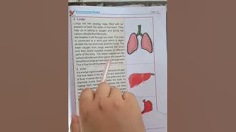 CLASS - 4th LBF COURSE EVS LESSON - 1 PART - 4