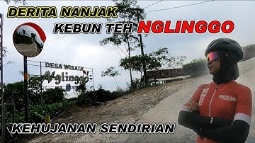 NANJAK PERIH KEBUN TEH NGLINGGO KEHUJANAN SENDIRIAN DERITA YANG BERAKHIR BAHAGIA