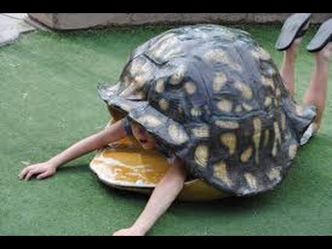 Emotional Shells = Safety...Not Happiness -  Special Guest Self Differentiation Expert Jerry Wise
