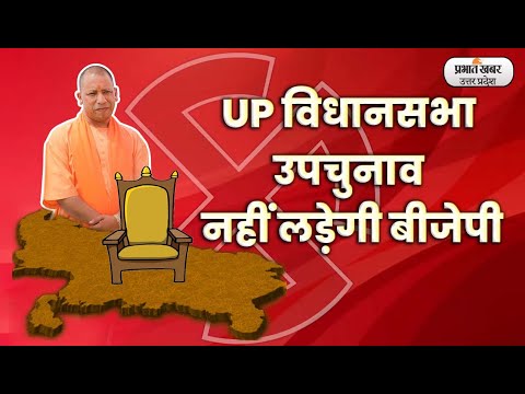 UP Vidhansabha Upchunav 2023: UP विधानसभा उपचुनाव नहीं लडे़गी BJP, सहयोगी अपना दल ने उतारे प्रत्याशी