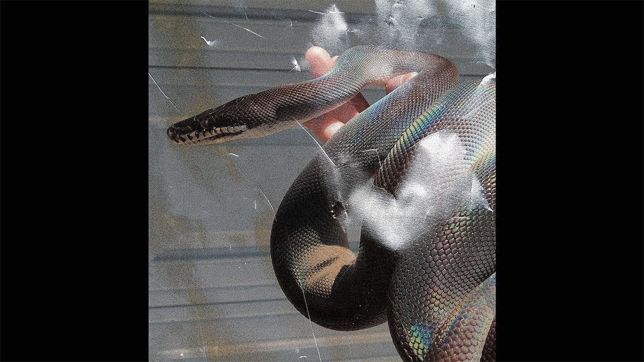 Could it be you ~ Piano Vocal Sample Beat 2019 Free