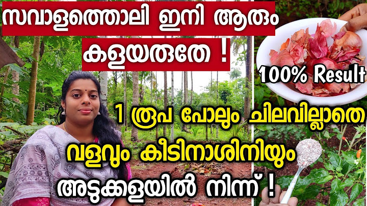 സവാളത്തൊലി ഇനി ആരും കളയരുതേ ! 1 രൂപ പോലും ചിലവില്ലാതെ വളവും കീടനാശിനിയും അടുക്കളയിൽ നിന്ന് ! | #സബോള