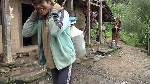 Myvillage official videos EP 403 || Carrying water for feeding domestic animals purpose