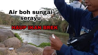 MANCING SUNGAI SERAYU WONOSOBO, AIR BOH TELAGA MENJER MANCING SUNGAI SERAYU WONOSOBO, AIR BOH TELAGA MENJER