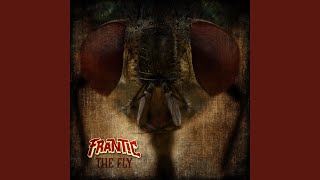 The Fly