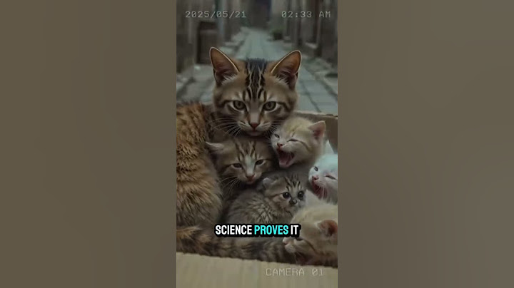Animals Showing Love Better Than Most Humans #animalfacts #ytshorts