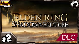 картинка: #2 Elden Ring DLC - продолжаем развали кабинетов.