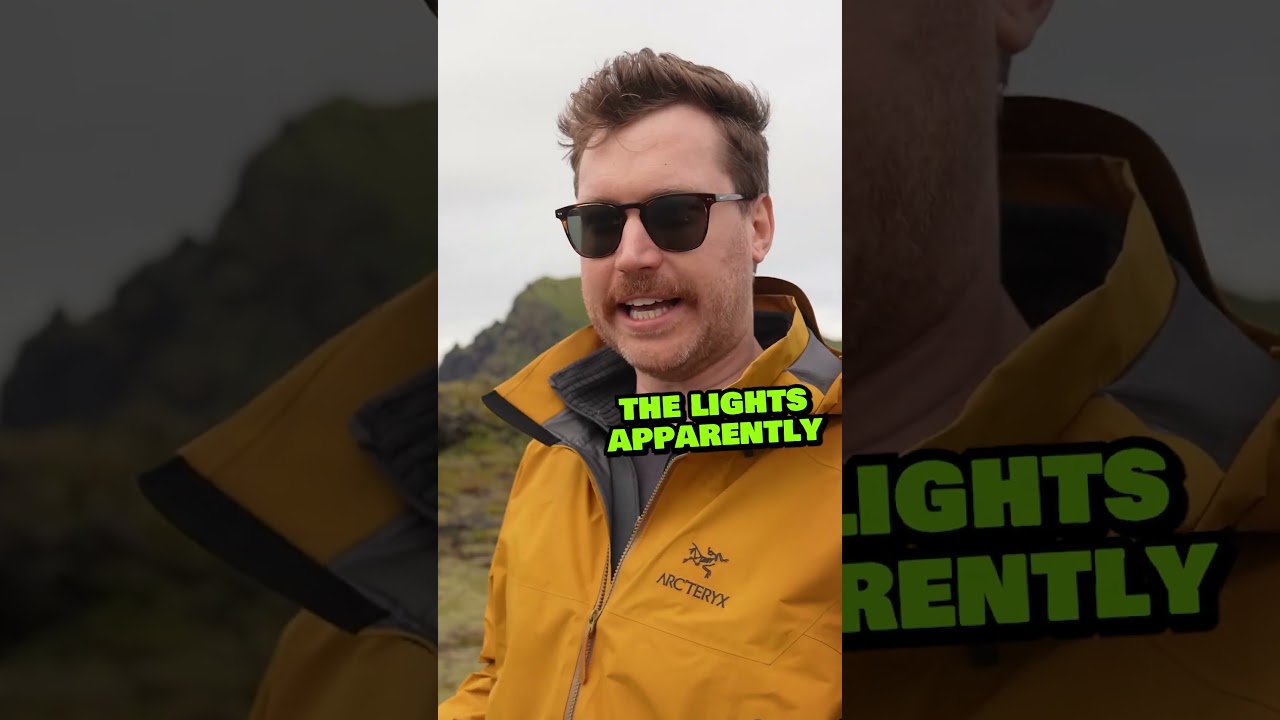 Why kids chuck these birds off cliffs  