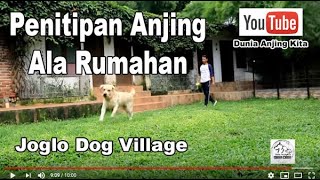 Penitipan Anjing Ala Rumah Sendiri  JOGLO DOG VILLA