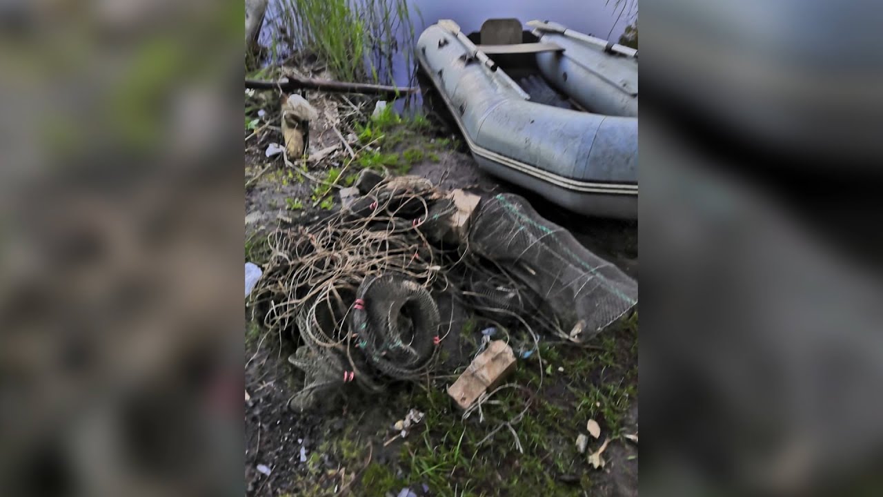 дмитрий бойко арестант. в московской области задержали банду браконьеров раколовов. в приморском крае задержали. вести приморье браконьеры. хехцирский заповедник хабаровск.