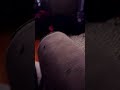 Artist Garrett hates this sound