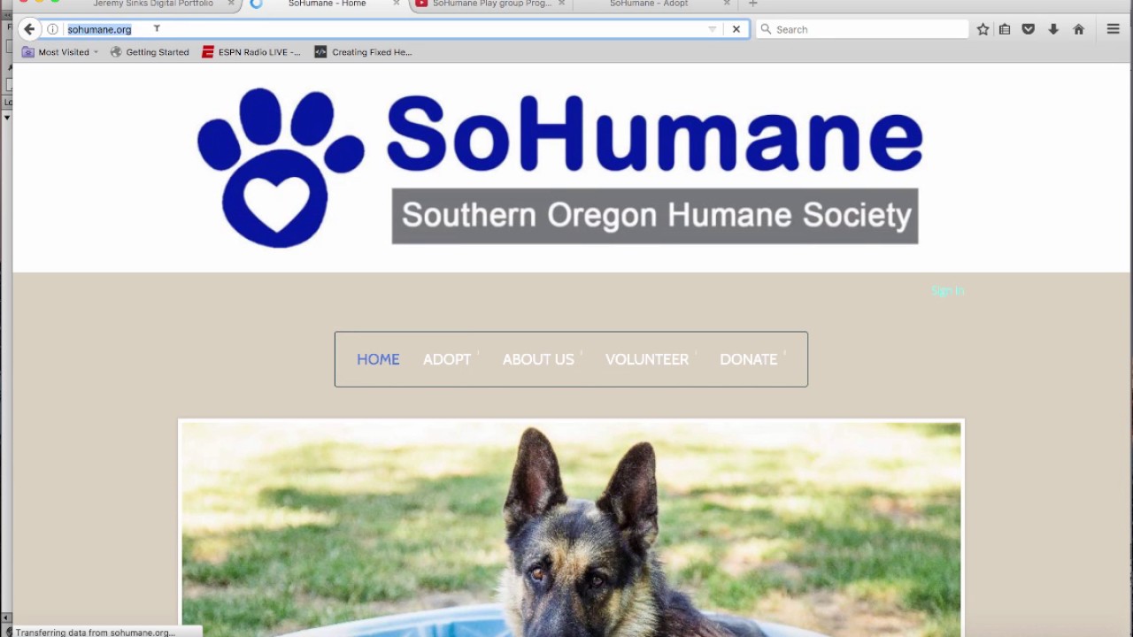 Crater BIS Portfolio Y2: 7-1 Insert & Style the BIS Internship Experience Page - Narrative