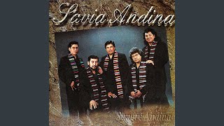Miniatura de "Savia Andina - Sangre Andina"