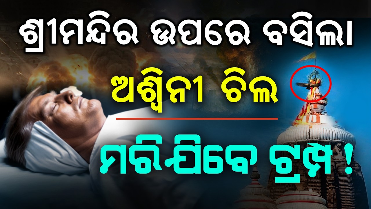 ଶ୍ରୀ ମନ୍ଦିର ଉପରେ ବସିଲା ଚିଲ | Malika Bachana | @SatyaBhanja 