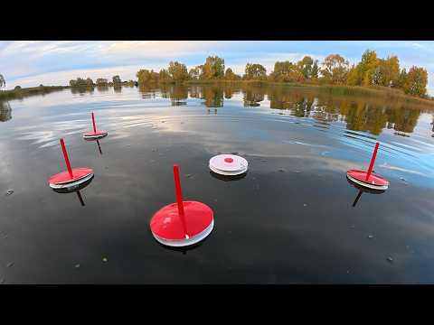 I LEFT THE LIVE BAIT RIGS UNATTENDED AND THIS IS WHAT HAPPENED! Autumn fishing with live bait rig...