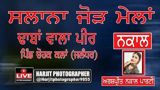SALANA JOD MELA &amp; NAKLAN DHABAN WALA PEER 18-6-2026 VILL.CHOHAK KALAN HARJIT PHOTOGRAPHY M9464816162