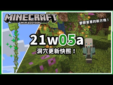 Minecraft | Java版1.17「洞穴更新」快照！  大量在21w05a新增的鬱鬱蔥蔥的方塊們，以及更多的新內容改善！