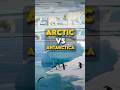 Arctic vs Antarctica: The Real Difference