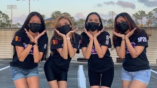 Southeast Stroll & Chapter Stroll | FSU aKDPhi