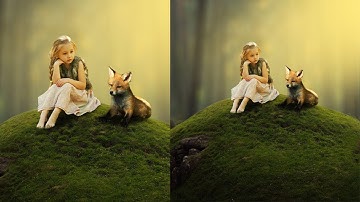 Best Friend - Photoshop Manipulation Tutorial in Photoshop cc 2018