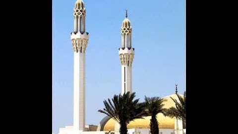 تلاوة ما تيسر من سورة الأعراف للشيخ الحافظ علي حسن داود العامري