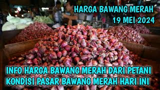 Kondisi Harga bawang merah hari ini 19 Mei 2024