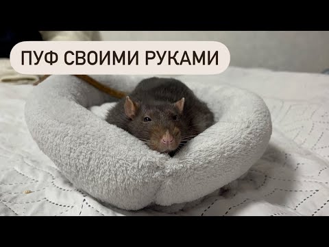 Клетка для крысы своими руками из подручных материалов