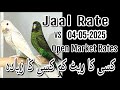 Jaal Rate 04 05 2025 Jaal Rate Kisi Ka Kam Kisi Ka Zyadah Lalukhet Birds Market Karachi 2025 Jaal Rate 04 05 2025 Jaal Rate Kisi Ka Kam Kisi Ka Zyadah Lalukhet Birds Market Karachi 2025