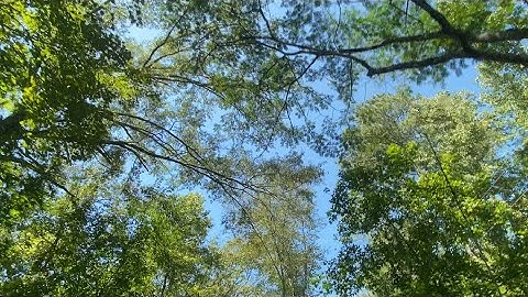 EMST 4200 Visual Storytelling Assignment