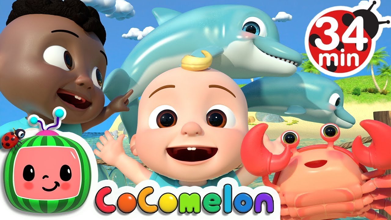 สมัคร qq mail  Update  Sea Animal Song + More Nursery Rhymes \u0026 Kids Songs - CoComelon