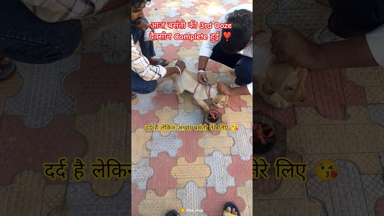 Basanti ko aj corona ki vaccine laga diye 😘🫶❣️ 