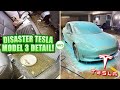 Deep Cleaning the FILTHIEST Tesla Model 3 EVER! | Satisfying DISASTER Electric Car Transformation