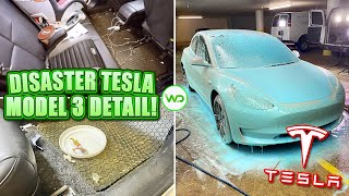 Deep Cleaning the FILTHIEST Tesla Model 3 EVER! | Satisfying DISASTER Electric Car Transformation