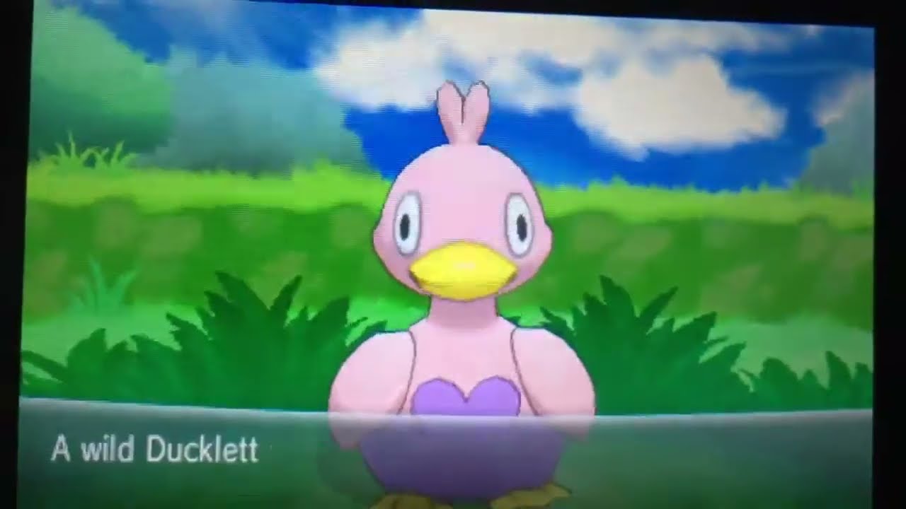 Pokemon X and y Shiny ducklett YouTube