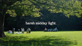 How to Photograph During Bright Sunny Daytime