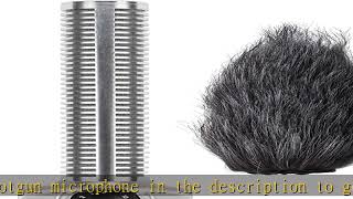 Zoom SGH-6 Shotgun Microphone Capsule with Hairy Windscreen for Film, Video, ENG, and Dialogue, wor