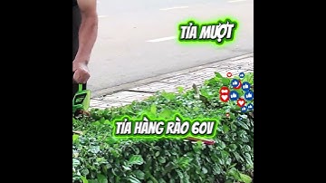 Máy tỉa hàng rào 60V mạnh thế này, tỉa xong chú mê luôn! #greenworks #protrek #maytiahangrao