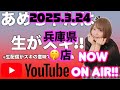 ファミスタ生配信中『あめちゃんは生がスキ@兵庫県のどこか2025.03.24』