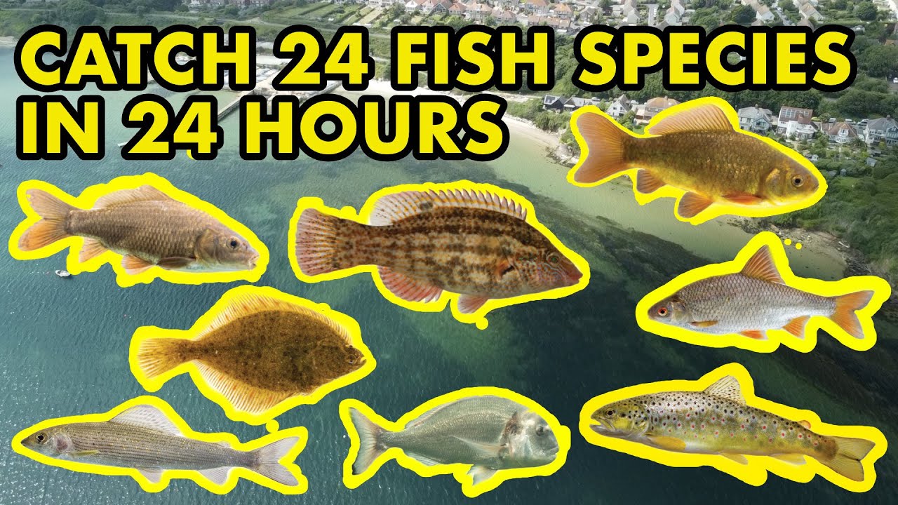 Can I Catch 24 Species in 24 Hours? - YouTube